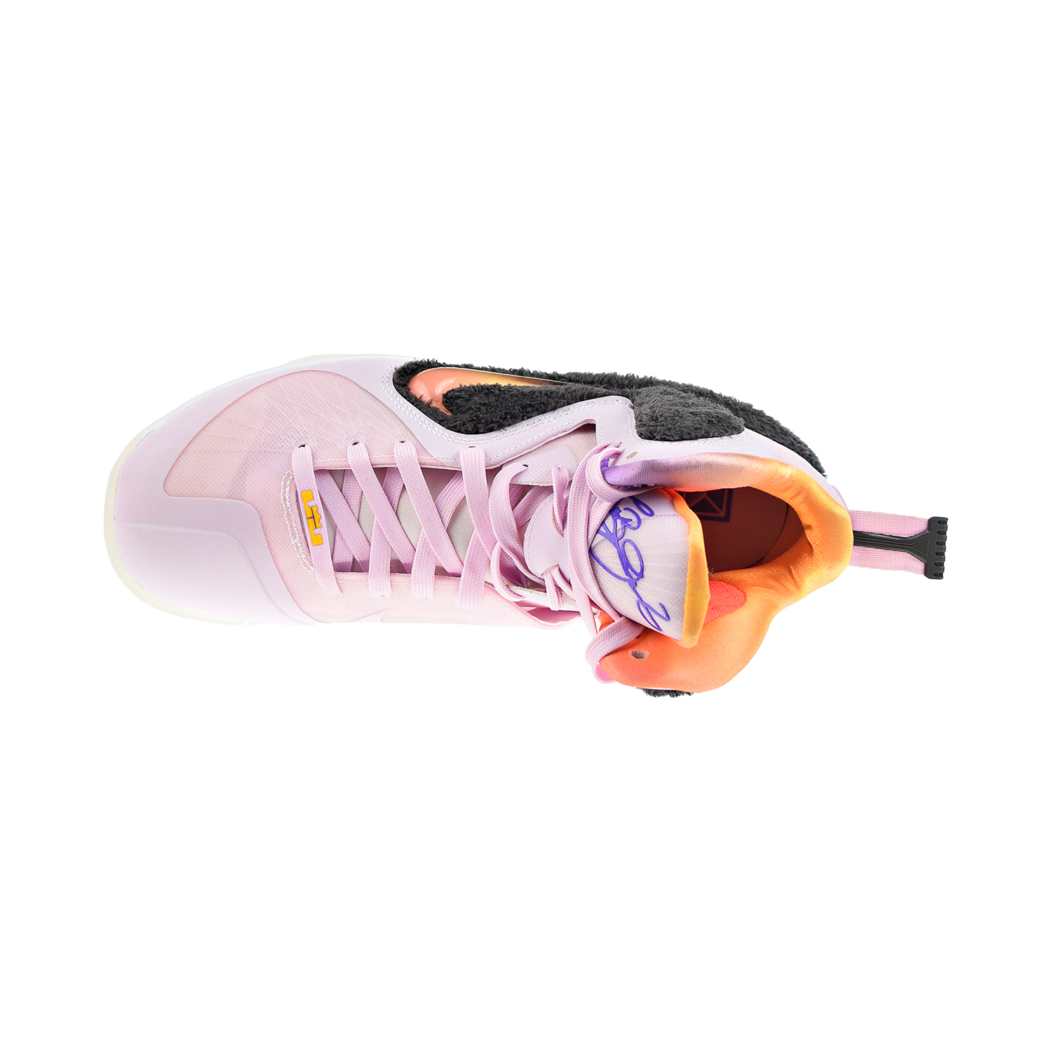 Nike LeBron 9 IX 