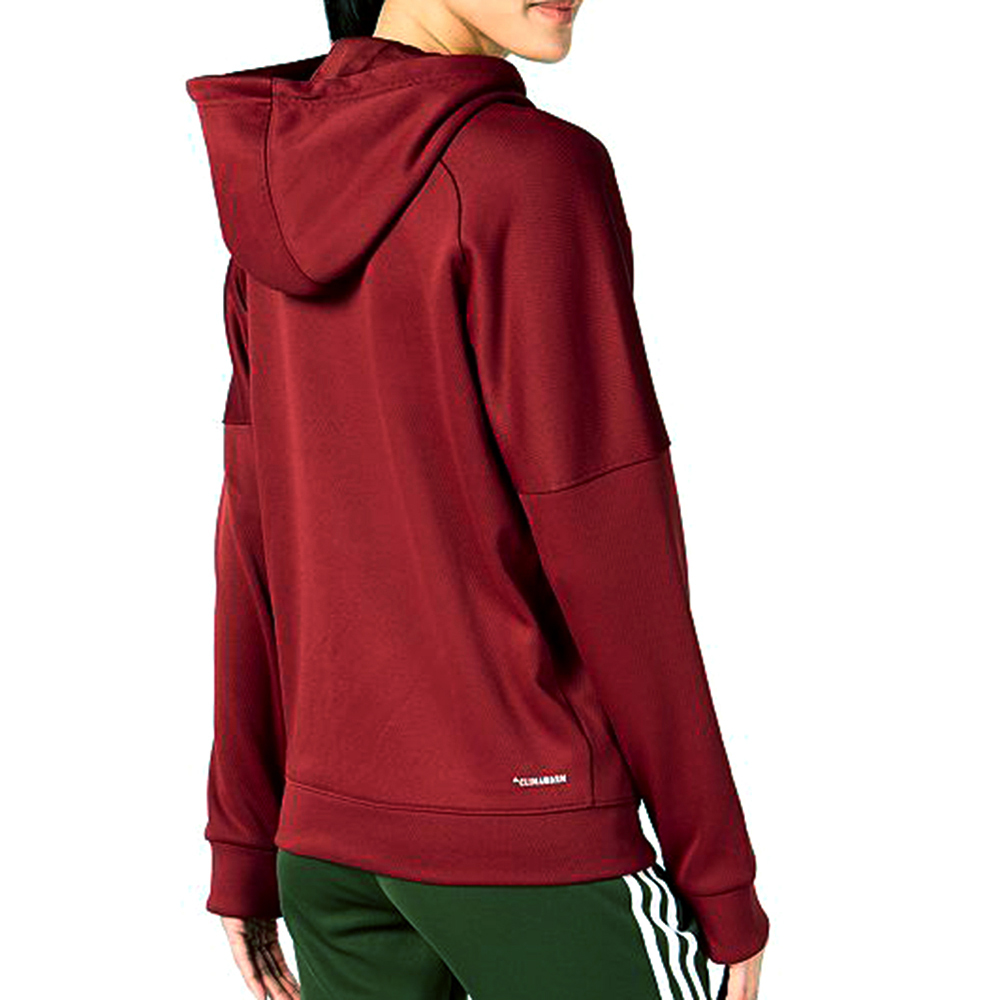 adidas shine logo hoodie