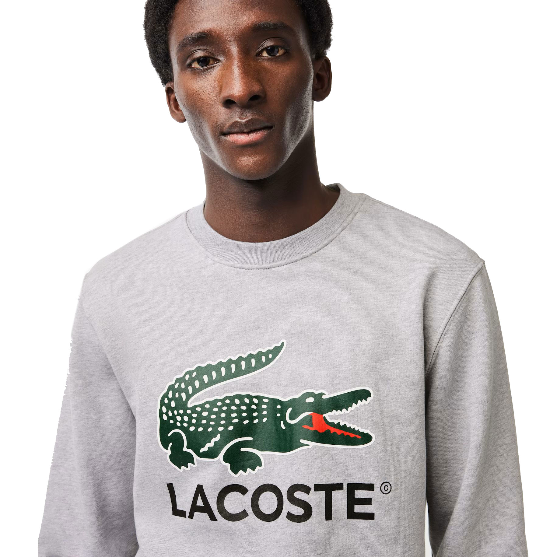 Lacoste Classic Fit Cotton Fleece Men's Sweatshirt Grey SH1281-CCA